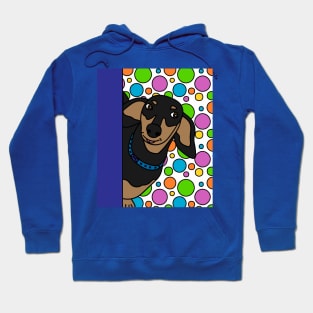 Funny Dachshund Dog Hoodie